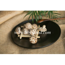 Tasty Vegetable Dried Tea Flower Mushroom